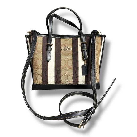 Coach Signature Stripe Tote in Brown, Tan, Cream (FIRM) - Picture 3 of 15